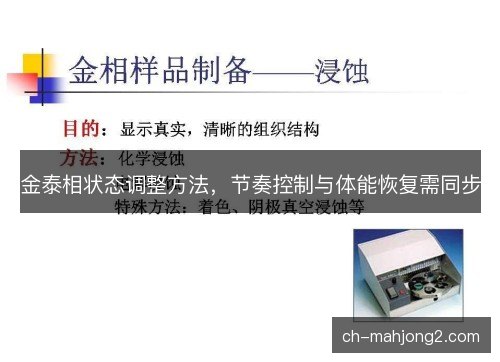 金泰相状态调整方法，节奏控制与体能恢复需同步