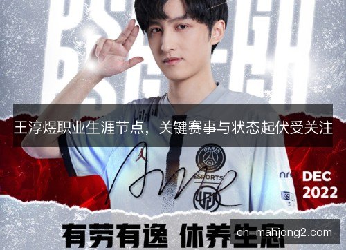 王淳煜职业生涯节点，关键赛事与状态起伏受关注